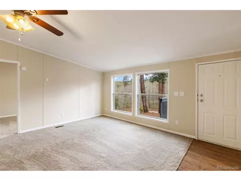 100 Wolverine Dr, Florissant, CO 80816 photo 18