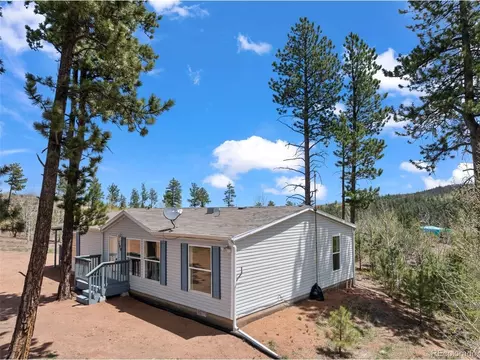 100 Wolverine Dr, Florissant, CO 80816 photo 4