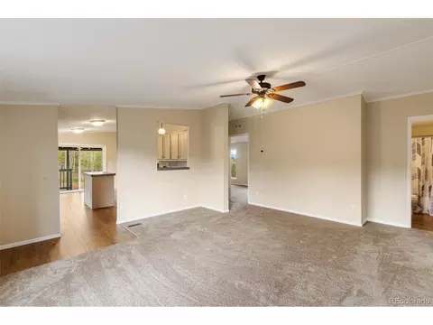 100 Wolverine Dr, Florissant, CO 80816 photo 14