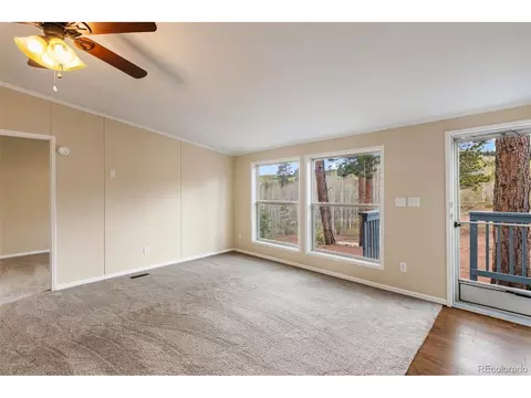 100 Wolverine Dr, Florissant, CO 80816 photo 13