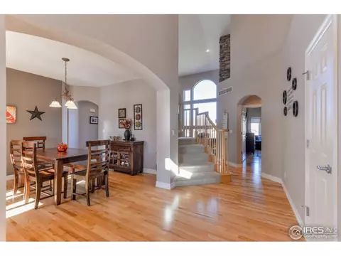 5684 Summerlyn Ct, Windsor, CO 80550 photo 3