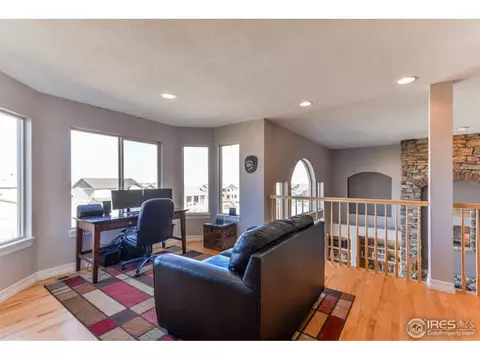 5684 Summerlyn Ct, Windsor, CO 80550 photo 13