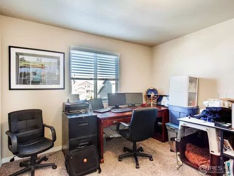 439 Wind River Dr, Windsor, CO 80550 photo 18