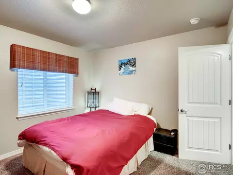 439 Wind River Dr, Windsor, CO 80550 photo 23