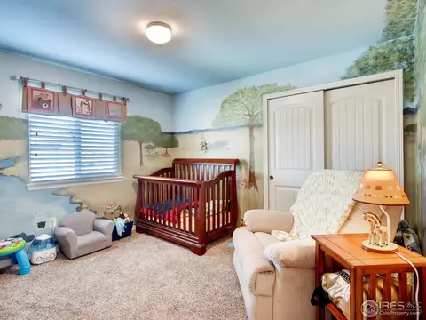 439 Wind River Dr, Windsor, CO 80550 photo 19