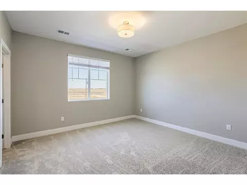 5460 Green Thumb Ave, Firestone, CO 80504 photo 25