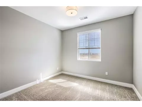 5460 Green Thumb Ave, Firestone, CO 80504 photo 23