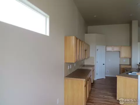 2154 Grain Bin Dr, Windsor, CO 80550 photo 7