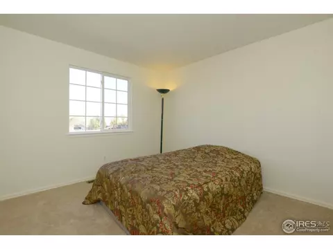 5422 Fox Run Blvd, Frederick, CO 80504 photo 19