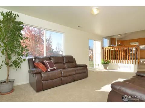 5422 Fox Run Blvd, Frederick, CO 80504 photo 15