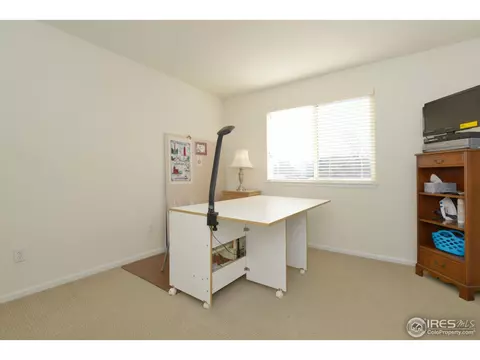 2674 E 137th Pl, Thornton, CO 80602 photo 29