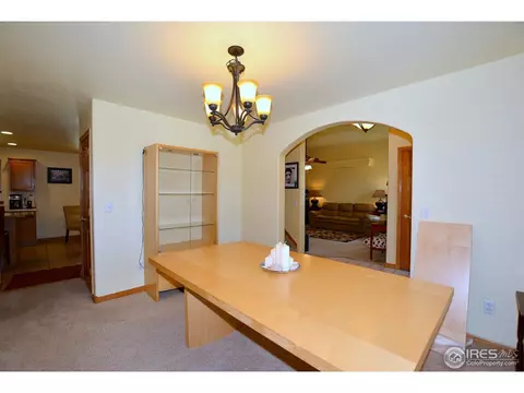 808 Pine Dr, Windsor, CO 80550 photo 14