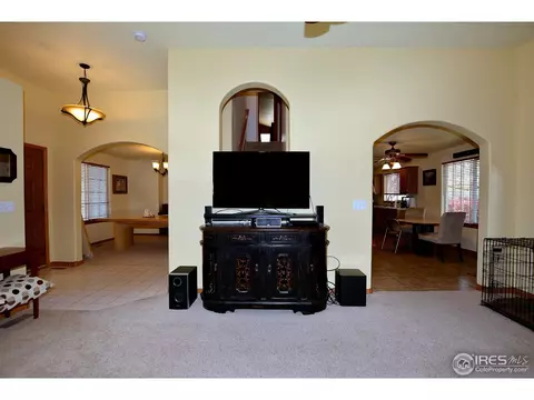 808 Pine Dr, Windsor, CO 80550 photo 4