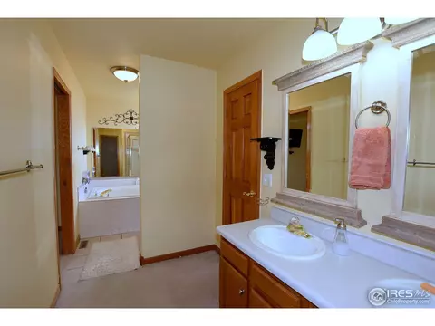 808 Pine Dr, Windsor, CO 80550 photo 22