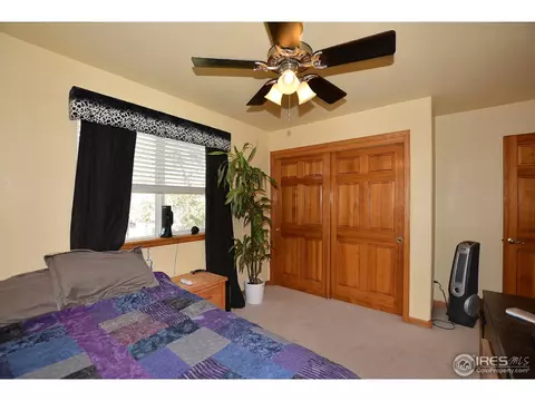 808 Pine Dr, Windsor, CO 80550 photo 25