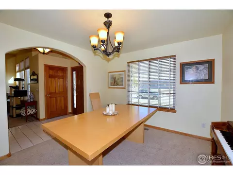 808 Pine Dr, Windsor, CO 80550 photo 13