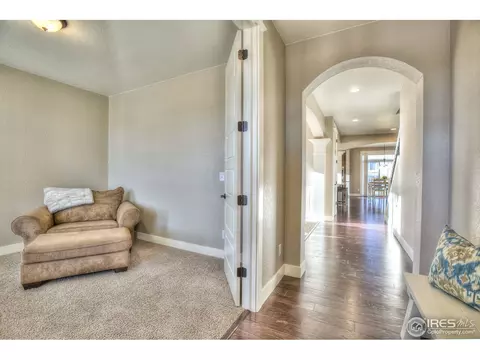 5511 Evangeline Dr, Windsor, CO 80550 photo 5