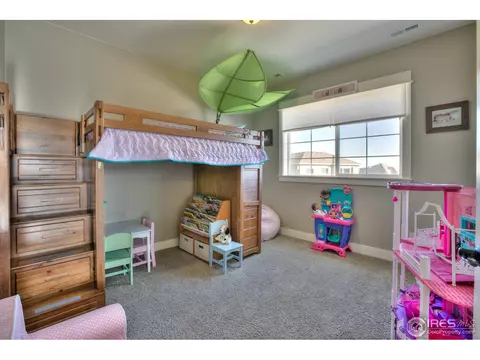 5511 Evangeline Dr, Windsor, CO 80550 photo 33