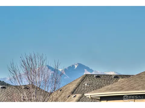 5511 Evangeline Dr, Windsor, CO 80550 photo 25