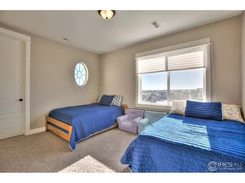 5511 Evangeline Dr, Windsor, CO 80550 photo 34