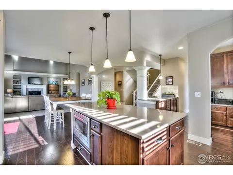 5511 Evangeline Dr, Windsor, CO 80550 photo 14