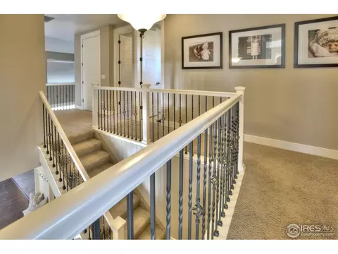 5511 Evangeline Dr, Windsor, CO 80550 photo 21