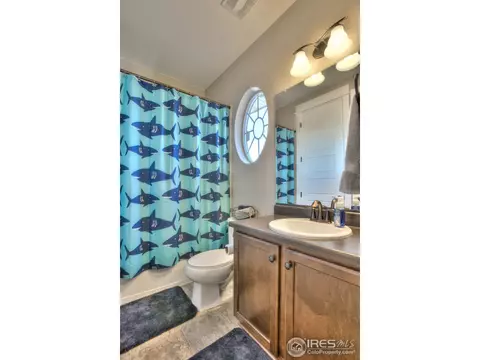 5511 Evangeline Dr, Windsor, CO 80550 photo 32
