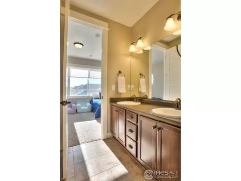 5511 Evangeline Dr, Windsor, CO 80550 photo 35