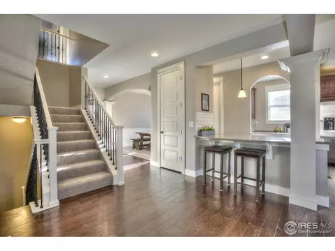 5511 Evangeline Dr, Windsor, CO 80550 photo 20