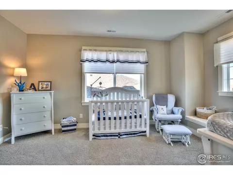 5511 Evangeline Dr, Windsor, CO 80550 photo 30