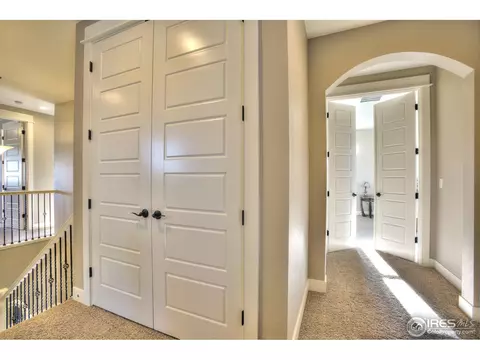 5511 Evangeline Dr, Windsor, CO 80550 photo 23
