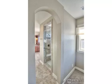 5511 Evangeline Dr, Windsor, CO 80550 photo 26