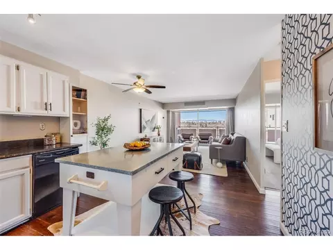 1121 Albion St #803, Denver, CO 80220