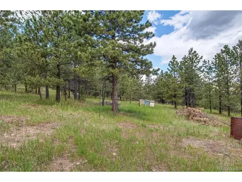 73 Ranchettes Rd, Bailey, CO 80421 photo 36