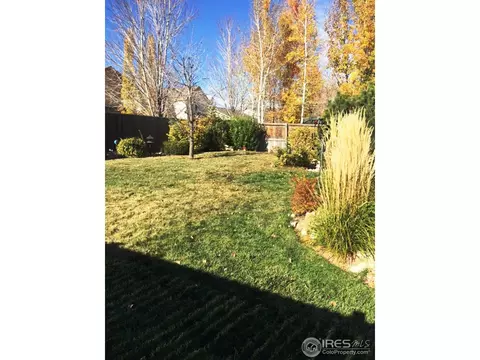 7243 Forest Dr, Frederick, CO 80504 photo 13