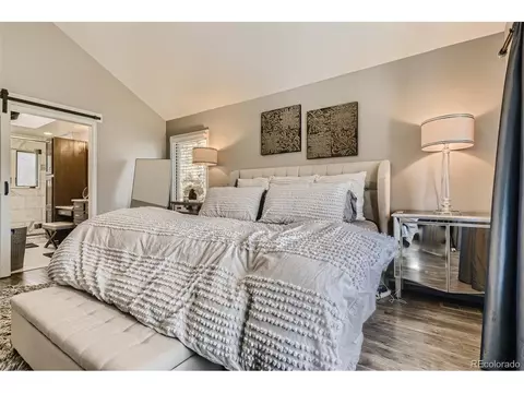 11401 E Regency Ct, Parker, CO 80138 photo 23