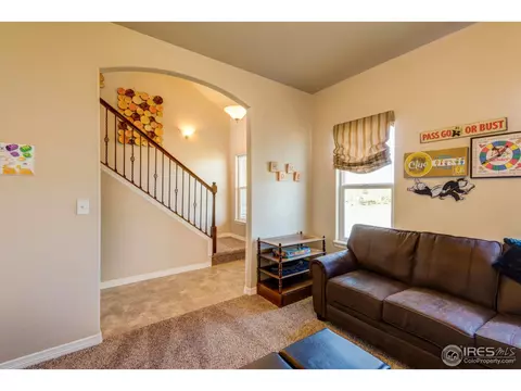 438 Gannet Peak Dr, Windsor, CO 80550 photo 13