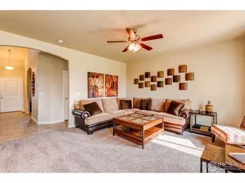 438 Gannet Peak Dr, Windsor, CO 80550 photo 18