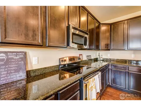 438 Gannet Peak Dr, Windsor, CO 80550 photo 14