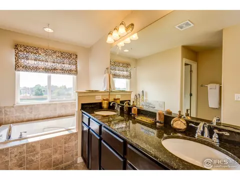 438 Gannet Peak Dr, Windsor, CO 80550 photo 19