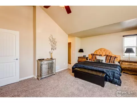 438 Gannet Peak Dr, Windsor, CO 80550 photo 21