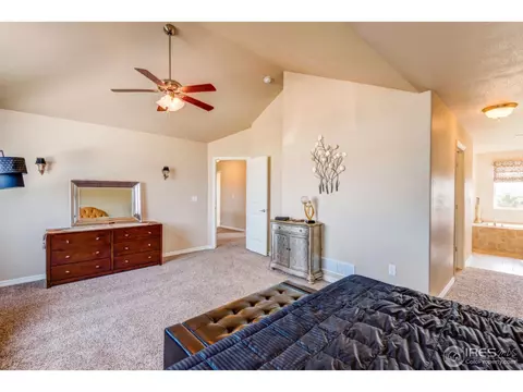 438 Gannet Peak Dr, Windsor, CO 80550 photo 20