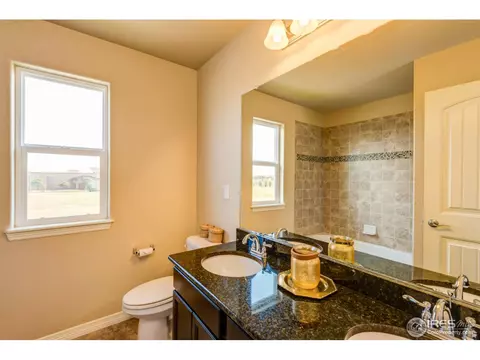 438 Gannet Peak Dr, Windsor, CO 80550 photo 3