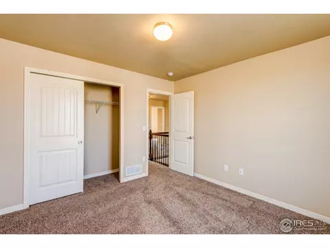438 Gannet Peak Dr, Windsor, CO 80550 photo 6