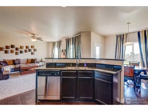 438 Gannet Peak Dr, Windsor, CO 80550 photo 15
