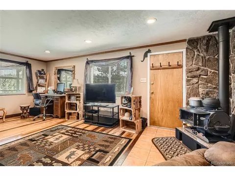 27 Spruce Trl, Bailey, CO 80421 photo 7
