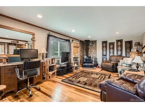 27 Spruce Trl, Bailey, CO 80421 photo 4