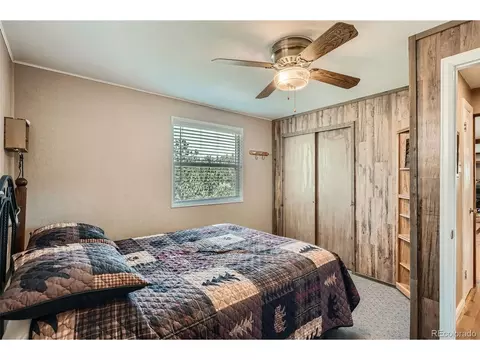 27 Spruce Trl, Bailey, CO 80421 photo 22