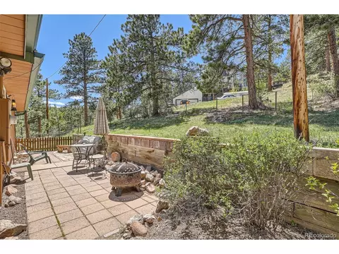 27 Spruce Trl, Bailey, CO 80421 photo 25