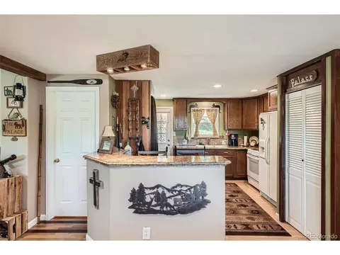 27 Spruce Trl, Bailey, CO 80421 photo 12